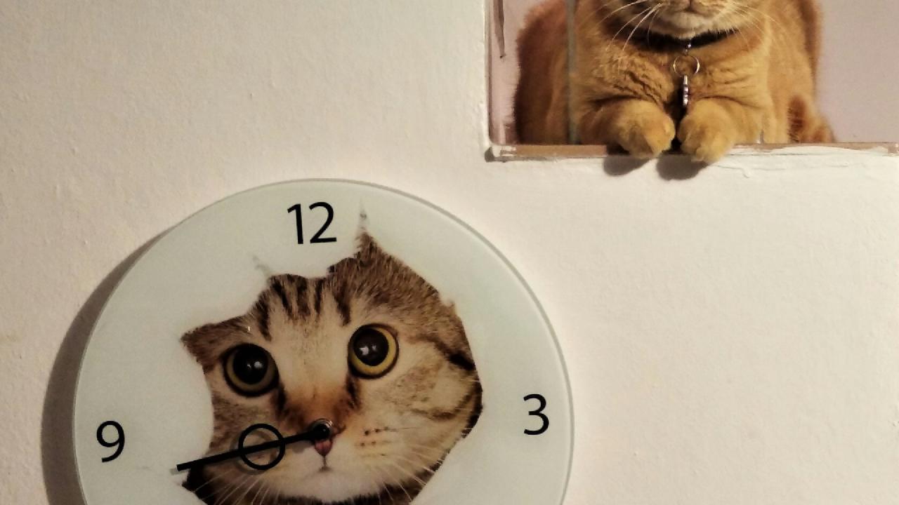 Tidy Time Series and Forecasting in R