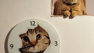 Tidy Time Series and Forecasting in R