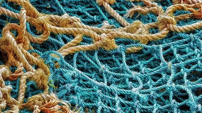 Training ImageNet with R