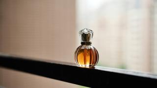 Announcing vetiver for MLOps in R and Python