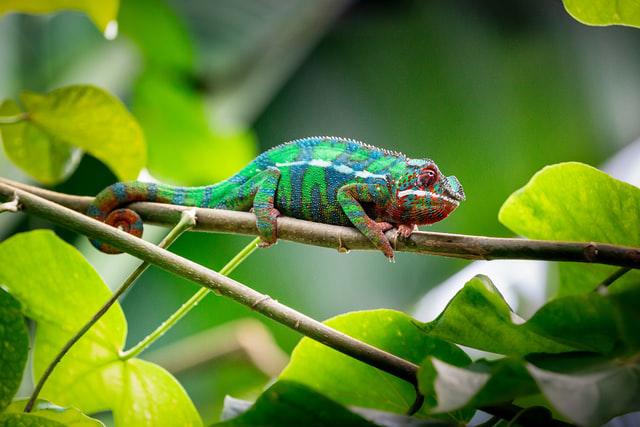 TensorFlow and Keras 2.9